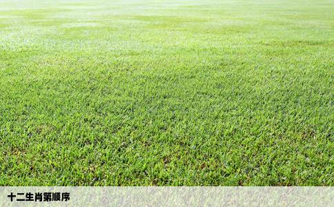 十二生肖第顺序