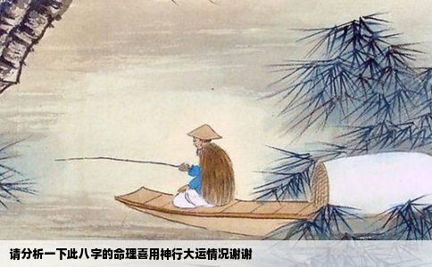 请分析一下此八字的命理喜用神行大运情况谢谢