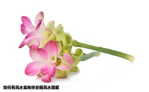 如何看风水宝地祥安阁风水图解