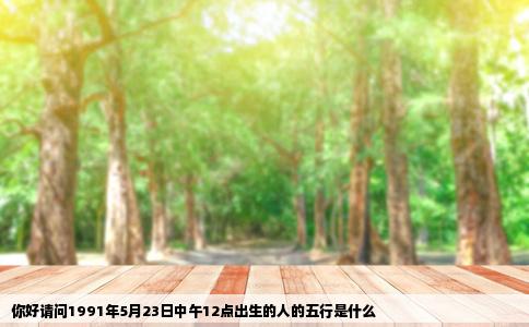 你好请问1991年5月23日中午12点出生的人的五行是什么