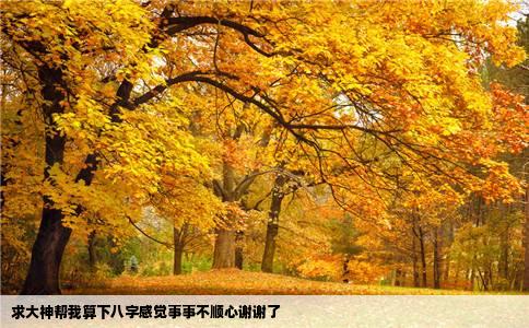 求大神帮我算下八字感觉事事不顺心谢谢了