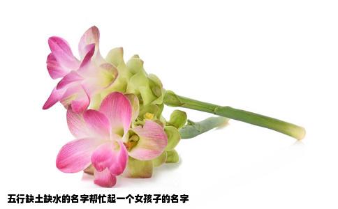 五行缺土缺水的名字帮忙起一个女孩子的名字