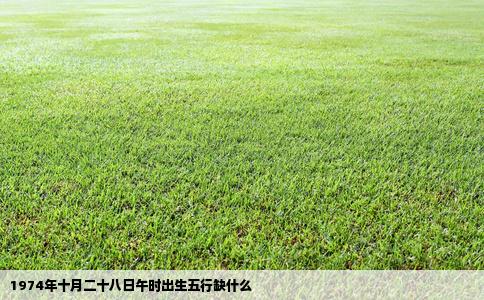 1974年十月二十八日午时出生五行缺什么