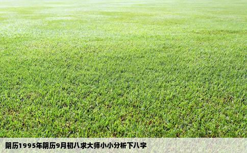 阴历1995年阴历9月初八求大师小小分析下八字