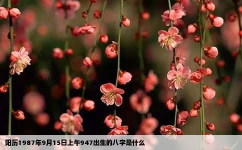 阳历1987年9月15日上午947出生的八字是什么