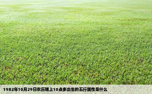 1982年10月29日农历晚上10点多出生的五行属性是什么