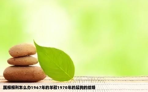 属相相刑怎么办1967年的羊和1970年的起狗的结婚
