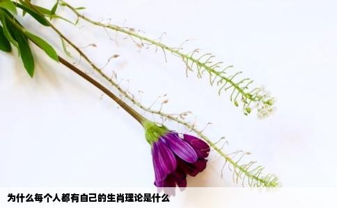 为什么每个人都有自己的生肖理论是什么