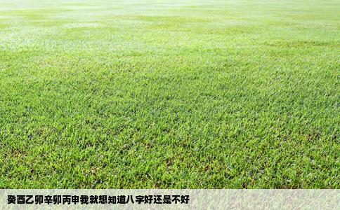 癸酉乙卯辛卯丙申我就想知道八字好还是不好