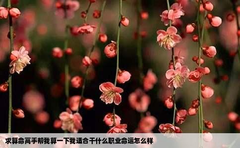 求算命高手帮我算一下我适合干什么职业命运怎么样