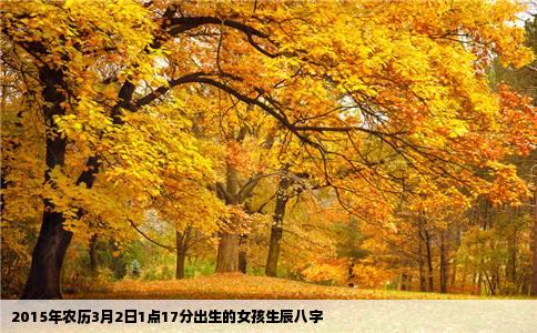 2015年农历3月2日1点17分出生的女孩生辰八字
