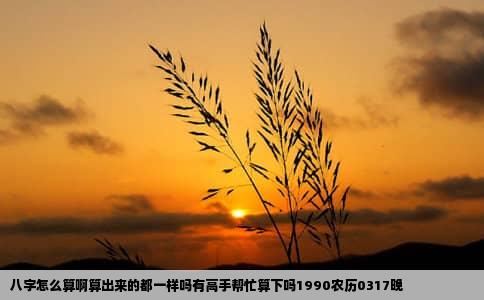 八字怎么算啊算出来的都一样吗有高手帮忙算下吗1990农历0317晚