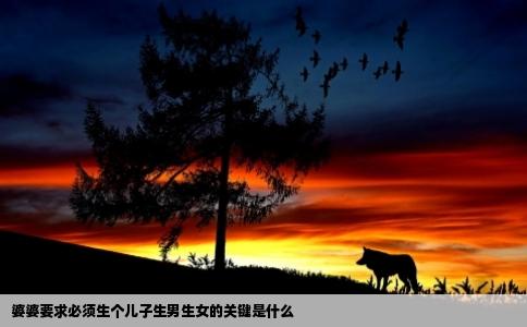 婆婆要求必须生个儿子生男生女的关键是什么