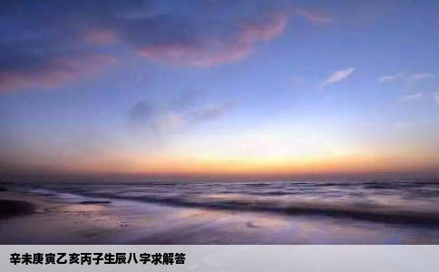 辛未庚寅乙亥丙子生辰八字求解答