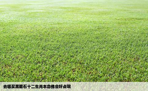 去哪买黑曜石十二生肖本命佛会好点呢