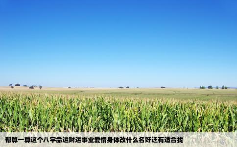 帮算一算这个八字命运财运事业爱情身体改什么名好还有适合找