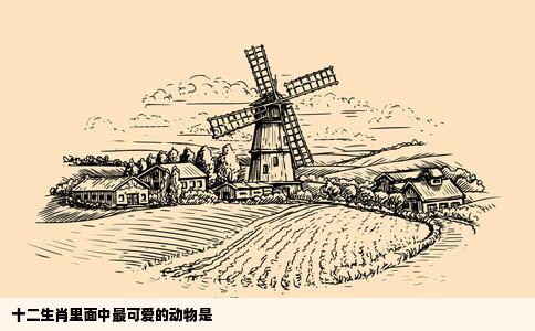 十二生肖里面中最可爱的动物是