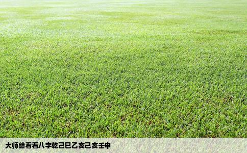 大师给看看八字乾己巳乙亥己亥壬申