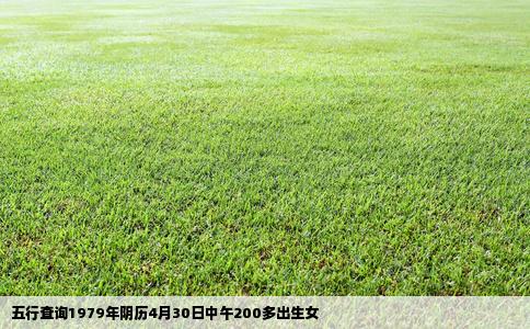 五行查询1979年阴历4月30日中午200多出生女