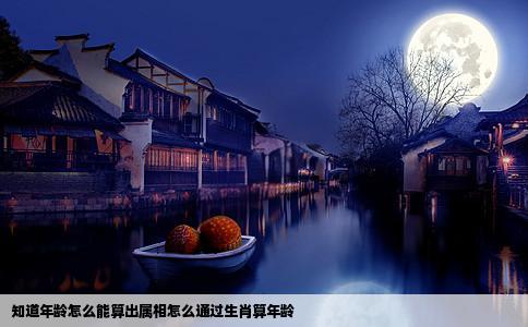 知道年龄怎么能算出属相怎么通过生肖算年龄