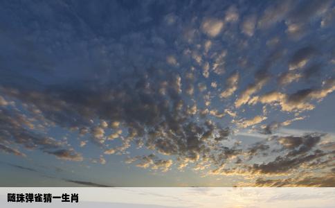 随珠弹雀猜一生肖