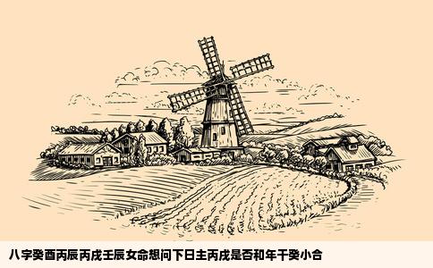 八字癸酉丙辰丙戌壬辰女命想问下日主丙戌是否和年干癸小合