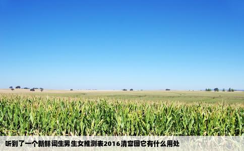 听到了一个新鲜词生男生女推测表2016清宫图它有什么用处