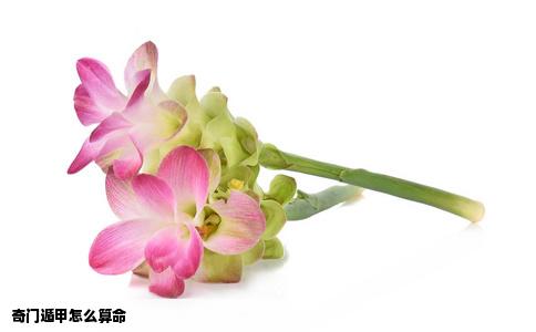 奇门遁甲怎么算命