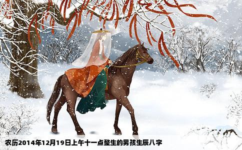 农历2014年12月19日上午十一点整生的男孩生辰八字