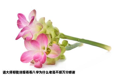 请大师帮我详细看看八字为什么老是不顺万分感谢