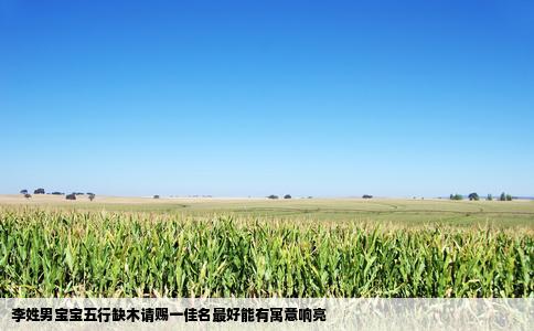 李姓男宝宝五行缺木请赐一佳名最好能有寓意响亮