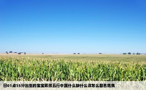 日01点15分出生的宝宝男孩五行中属什么缺什么该怎么取名姓焦