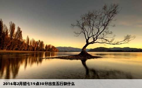 2016年2月初七19点30分出生五行缺什么