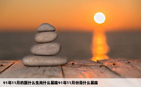91年11月的属什么生肖什么星座91年11月份是什么星座