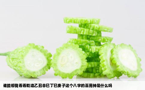 谁能帮我看看乾造乙丑辛巳丁巳庚子这个八字的喜用神是什么吗