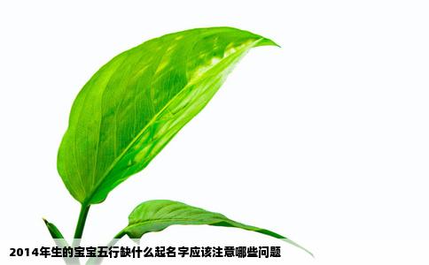 2014年生的宝宝五行缺什么起名字应该注意哪些问题