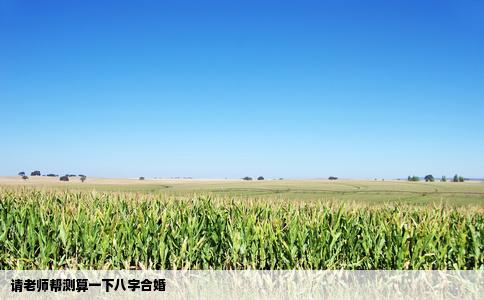 请老师帮测算一下八字合婚