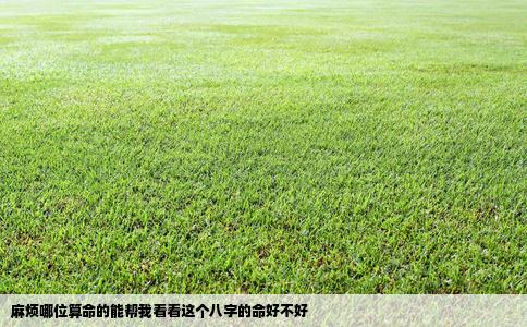 麻烦哪位算命的能帮我看看这个八字的命好不好