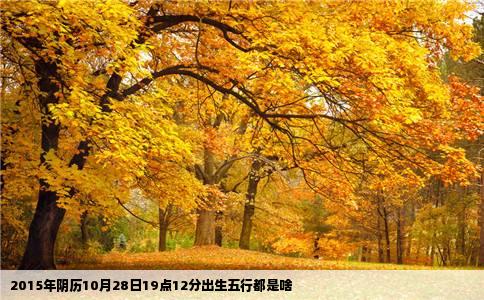 2015年阴历10月28日19点12分出生五行都是啥