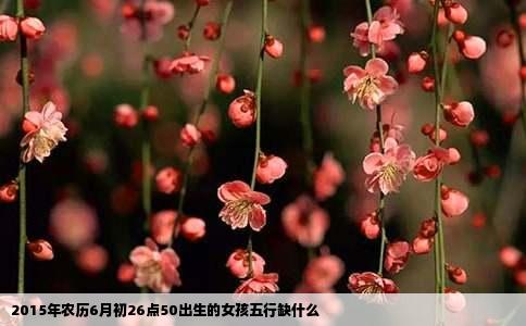 2015年农历6月初26点50出生的女孩五行缺什么