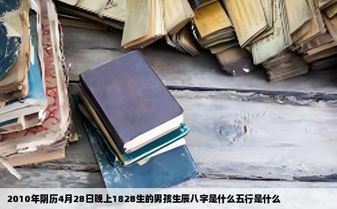 2010年阴历4月28日晚上1828生的男孩生辰八字是什么五行是什么