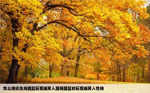 怎么接近生肖属鼠巨蟹座男人属相属鼠的巨蟹座男人性格
