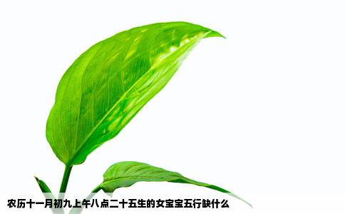 农历十一月初九上午八点二十五生的女宝宝五行缺什么