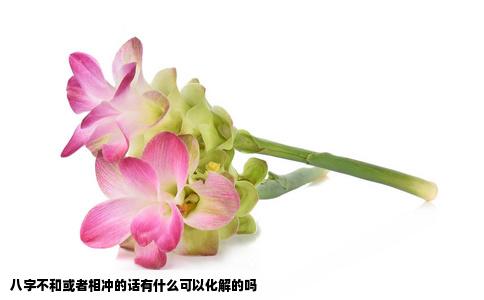 八字不和或者相冲的话有什么可以化解的吗