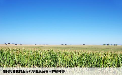 如何判断我的五行八字旺衰及喜用神禄神等