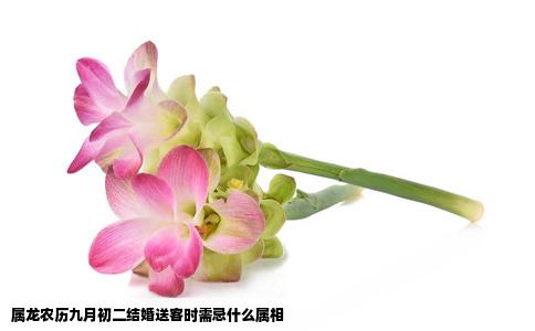 属龙农历九月初二结婚送客时需忌什么属相