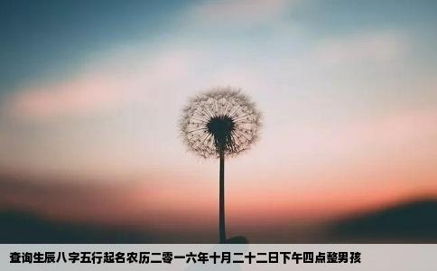 查询生辰八字五行起名农历二零一六年十月二十二日下午四点整男孩