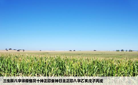 三生辰八字详细情况十神正印食神日主正印八字乙亥戊子丙戌