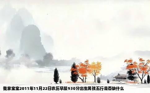 我家宝宝2011年11月22日农历早晨930分出生男孩五行是否缺什么