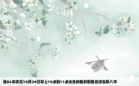 是86年农历10月24日早上10点到11点出生的我的配偶应该生辰八字